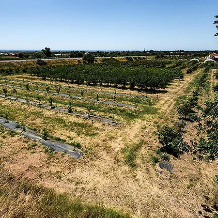 Casa Terraço Do Caracol